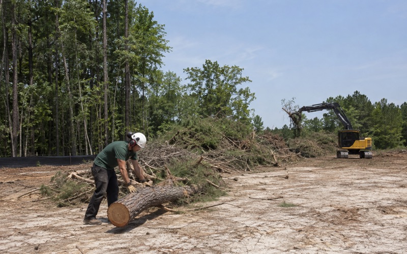 Worker rolling a Virginia pine cull log onto the windrow on a Severn clearing job, the tracked machine bunching brush behind him.